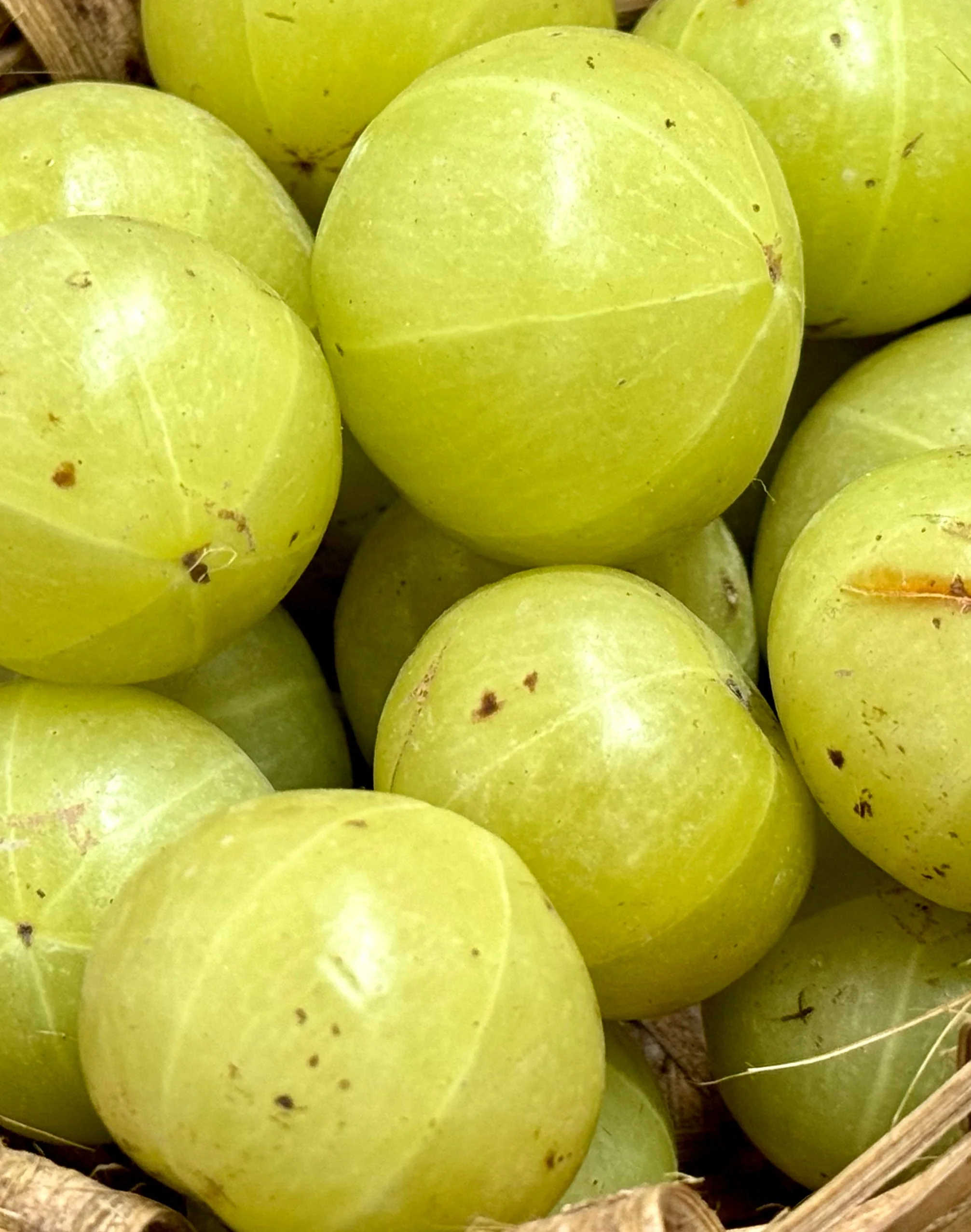 Immagine prodotto 5
